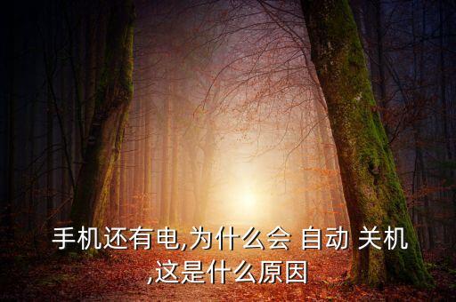  手機(jī)還有電,為什么會(huì) 自動(dòng) 關(guān)機(jī),這是什么原因