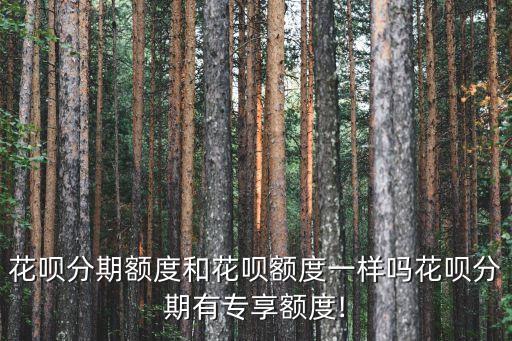 花唄分期額度和花唄額度一樣嗎花唄分期有專享額度!