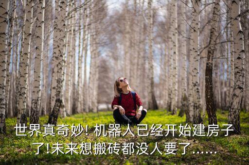 互聯(lián)網(wǎng)大會(huì) 機(jī)器人