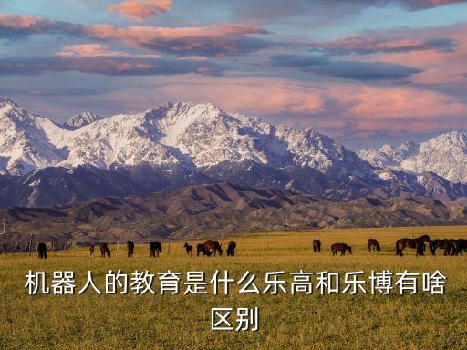  機(jī)器人的教育是什么樂高和樂博有啥區(qū)別