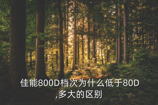 佳能800D檔次為什么低于80D,多大的區(qū)別