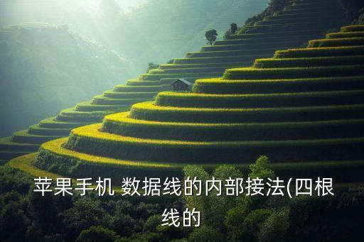 蘋果數(shù)據(jù)線有幾根線芯