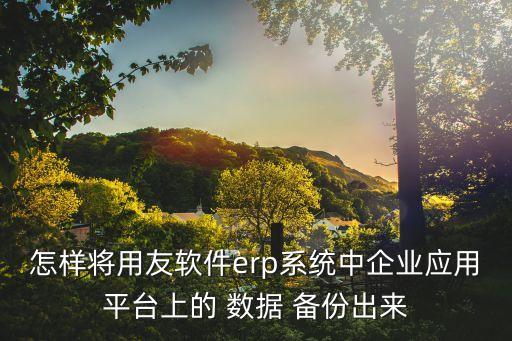 怎樣將用友軟件erp系統(tǒng)中企業(yè)應(yīng)用平臺(tái)上的 數(shù)據(jù) 備份出來(lái)
