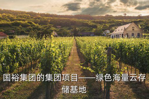 國裕集團(tuán)的集團(tuán)項(xiàng)目——綠色海量云存儲(chǔ)基地
