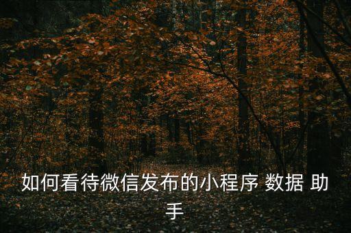 如何看待微信發(fā)布的小程序 數(shù)據(jù) 助手