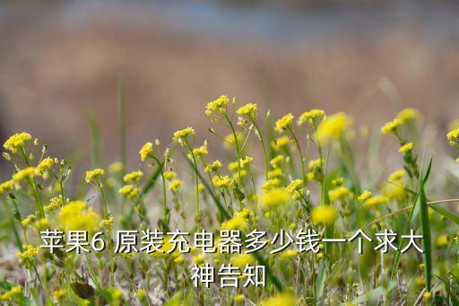 蘋果數(shù)據(jù)線原裝多少錢,蘋果11數(shù)據(jù)線原裝多少錢