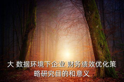 大 數(shù)據(jù)環(huán)境下企業(yè) 財(cái)務(wù)績(jī)效優(yōu)化策略研究目的和意義