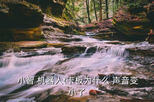  小智 機(jī)器人t卡板為什么 聲音變小了