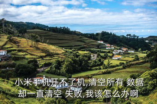 小米手機開不了機,清空所有 數(shù)據(jù)卻一直清空 失敗,我該怎么辦啊