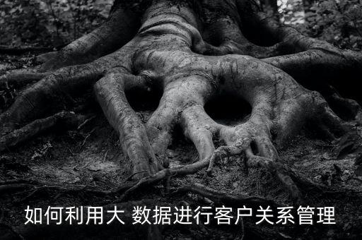 如何利用大 數(shù)據(jù)進(jìn)行客戶關(guān)系管理