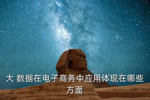 大 數(shù)據(jù)在電子商務中應用體現(xiàn)在哪些方面