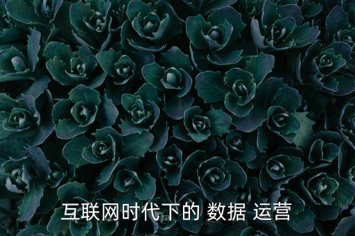 互聯(lián)網(wǎng)時代下的 數(shù)據(jù) 運(yùn)營
