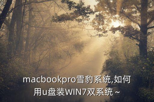 macbookpro雪豹系統(tǒng),如何用u盤裝WIN7雙系統(tǒng)～