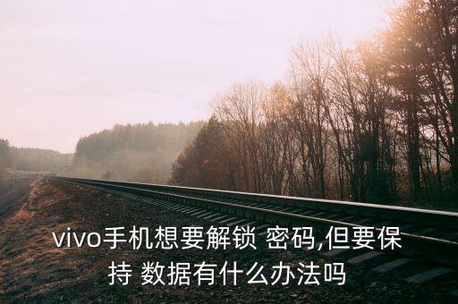 數(shù)據(jù)鎖定密碼,系統(tǒng)用戶數(shù)據(jù)已鎖定怎么辦