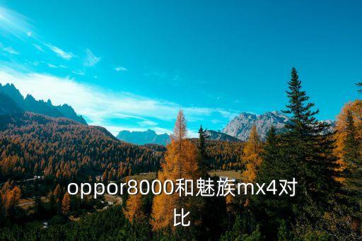 oppor8000原裝數(shù)據(jù)線