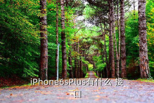 蘋果cpu數(shù)據(jù)接口,蘋果手機(jī)數(shù)據(jù)接口