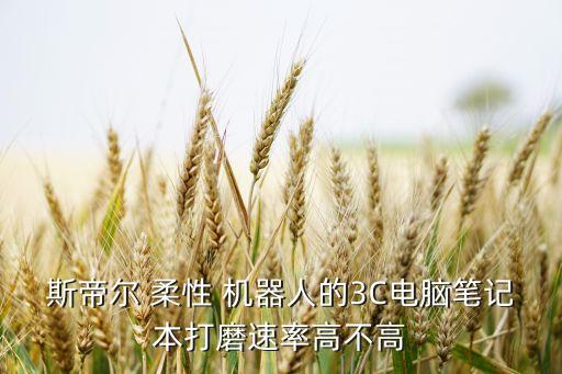 斯帝爾 柔性 機(jī)器人的3C電腦筆記本打磨速率高不高