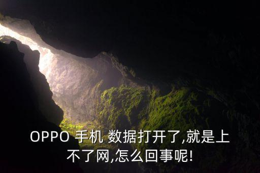手機上數(shù)據(jù)不能聯(lián)網(wǎng)嗎,手機數(shù)據(jù)上網(wǎng)卡頓怎么解決