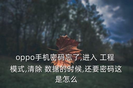 oppo手機(jī)密碼忘了,進(jìn)入 工程 模式,清除 數(shù)據(jù)的時候,還要密碼這是怎么