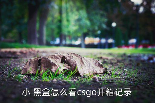 小 黑盒怎么看csgo開箱記錄