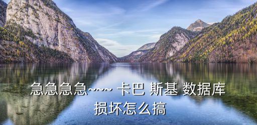 急急急急~~~ 卡巴 斯基 數(shù)據(jù)庫(kù) 損壞怎么搞