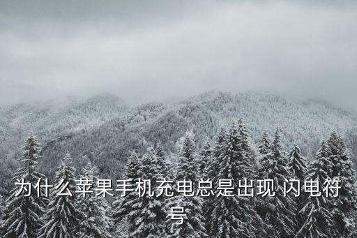 數(shù)據(jù)線上的閃電啥意思,華為數(shù)據(jù)線ap71啥意思