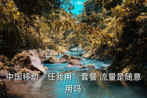 中國移動(dòng)“任我用”套餐 流量是隨意用嗎