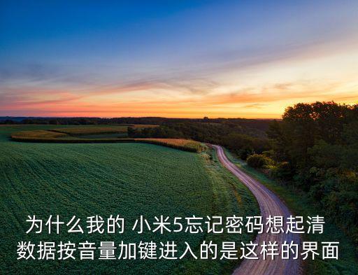 為什么我的 小米5忘記密碼想起清 數(shù)據(jù)按音量加鍵進入的是這樣的界面