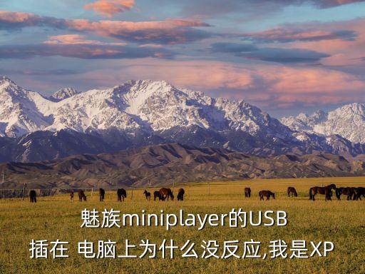  魅族miniplayer的USB插在 電腦上為什么沒反應(yīng),我是XP