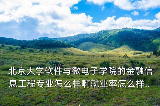  北京大學(xué)軟件與微電子學(xué)院的金融信息工程專業(yè)怎么樣啊就業(yè)率怎么樣...