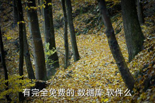 數(shù)據(jù)庫服務(wù)器軟件,獨立軟件和數(shù)據(jù)庫服務(wù)器的區(qū)別