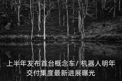 上半年發(fā)布首臺概念車/ 機(jī)器人明年交付集度最新進(jìn)展曝光