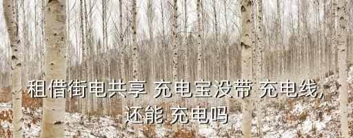 租借街電共享 充電寶沒帶 充電線,還能 充電嗎