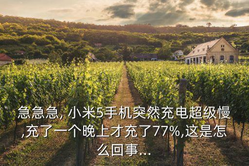 急急急, 小米5手機突然充電超級慢,充了一個晚上才充了77%,這是怎么回事...