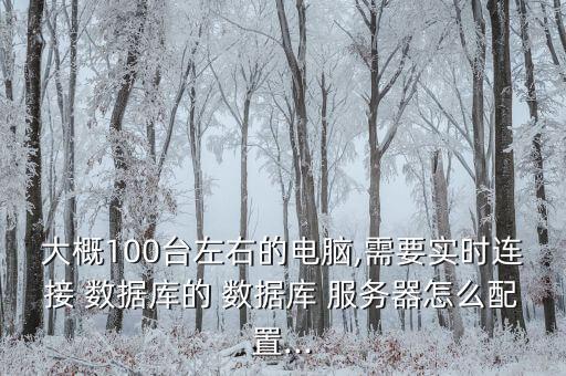 大概100臺(tái)左右的電腦,需要實(shí)時(shí)連接 數(shù)據(jù)庫(kù)的 數(shù)據(jù)庫(kù) 服務(wù)器怎么配置...