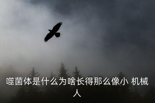噬菌體是什么為啥長得那么像小 機(jī)械人