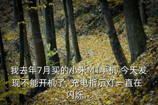 我去年7月買的小米M1手機(jī),今天發(fā)現(xiàn)不能開(kāi)機(jī)了, 充電指示燈一直在 閃爍...