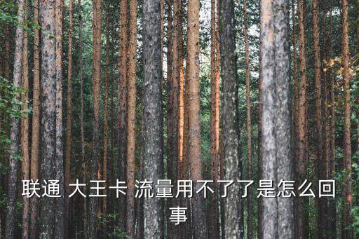聯(lián)通 大王卡 流量用不了了是怎么回事