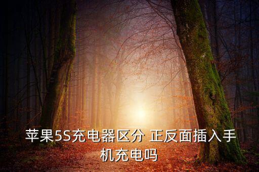  蘋(píng)果5S充電器區(qū)分 正反面插入手機(jī)充電嗎