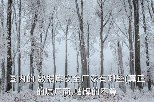 國內(nèi)的 數(shù)據(jù)庫安全廠家有哪些(真正的原廠商,貼牌的不算