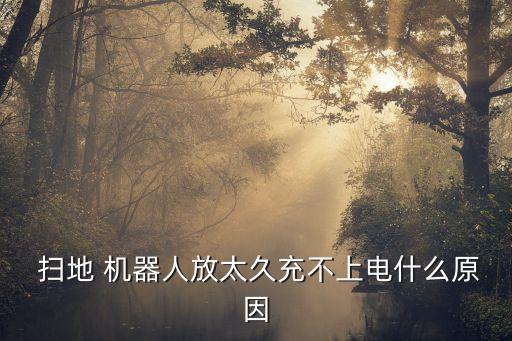  掃地 機器人放太久充不上電什么原因
