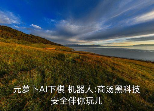 與機(jī)器人下圍棋,機(jī)器人下圍棋主要運(yùn)用了什么技術(shù)