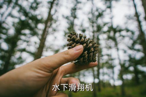 天津大學(xué)機(jī)器人研究所