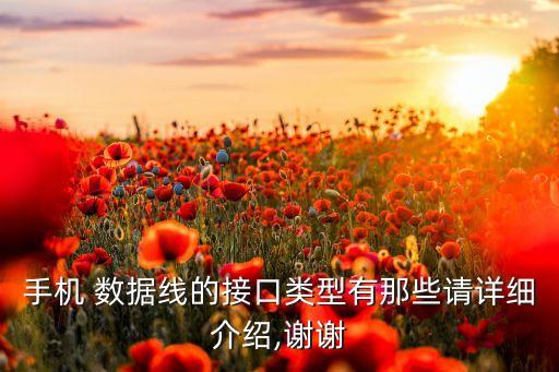 手機(jī) 數(shù)據(jù)線的接口類型有那些請詳細(xì)介紹,謝謝