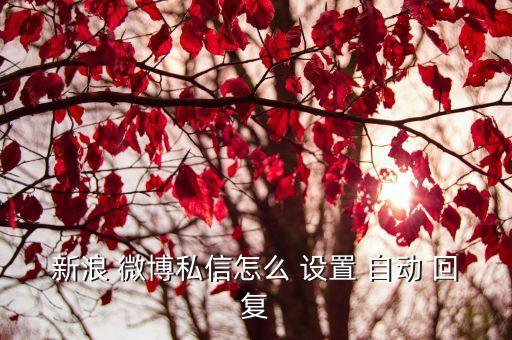 微博如何設(shè)置自動回復(fù)?
