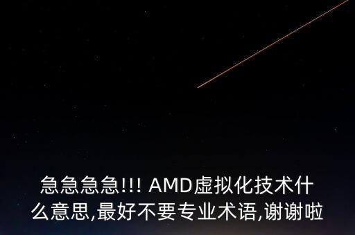 急急急急!!! AMD虛擬化技術(shù)什么意思,最好不要專業(yè)術(shù)語,謝謝啦