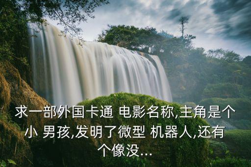 求一部外國卡通 電影名稱,主角是個小 男孩,發(fā)明了微型 機器人,還有個像沒...