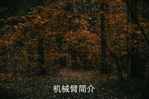 機(jī)械臂簡介