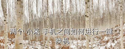 兩個(gè) 小米 手機(jī)之間如何進(jìn)行一鍵 換機(jī)