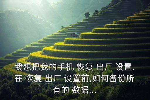 恢復出廠設置數(shù)據(jù)視頻